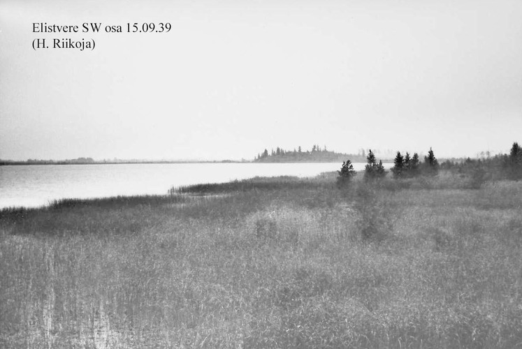 Maakond: Jõgevamaa Veekogu nimi: Elistvere järv Pildistamise aeg: 15. september 1939 Pildistaja: H. Riikoja Pildistamise koht: SW osa Asimuut: