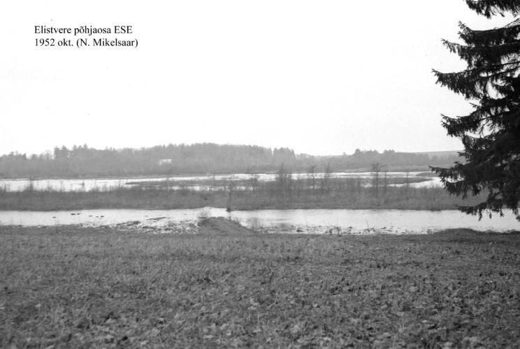 Maakond: Jõgevamaa Veekogu nimi: Elistvere järv Pildistamise aeg: oktoober 1952 Pildistaja: N. Mikelsaar Pildistamise koht: N osa Asimuut: ESE
