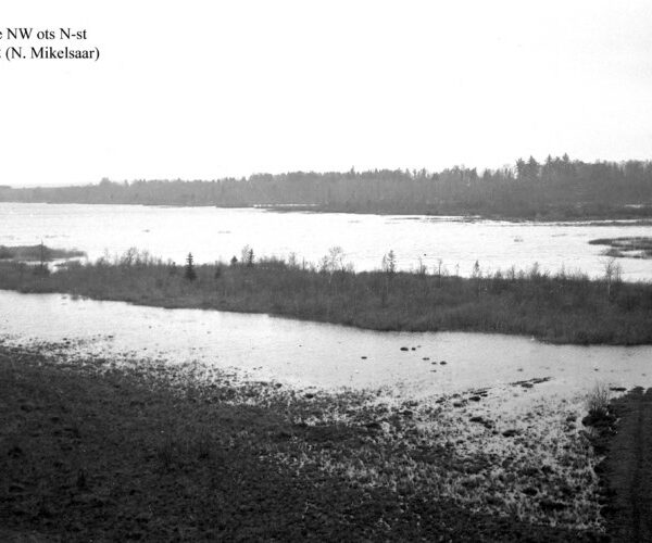 Maakond: Jõgevamaa Veekogu nimi: Elistvere järv Pildistamise aeg: 16. oktoober 1952 Pildistaja: N. Mikelsaar Pildistamise koht: NW ots Asimuut: S