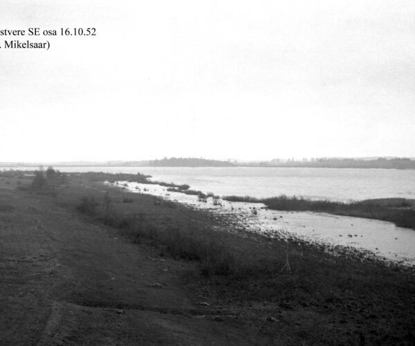 Maakond: Jõgevamaa Veekogu nimi: Elistvere järv Pildistamise aeg: 16. oktoober 1952 Pildistaja: N. Mikelsaar Pildistamise koht: SE osa Asimuut: