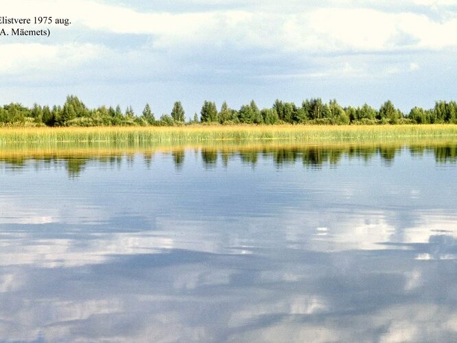 Maakond: Jõgevamaa Veekogu nimi: Elistvere järv Pildistamise aeg: august 1975 Pildistaja: A. Mäemets Pildistamise koht: teadmata Asimuut: