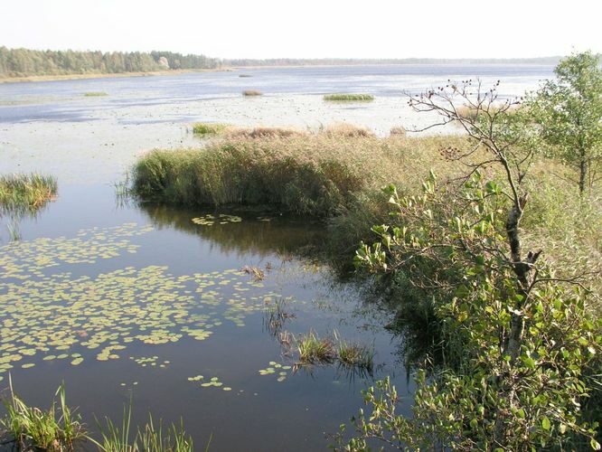 Maakond: Jõgevamaa Veekogu nimi: Elistvere järv Pildistamise aeg: 23. september 2003 Pildistaja: H. Timm Pildistamise koht: teadmata Asimuut: