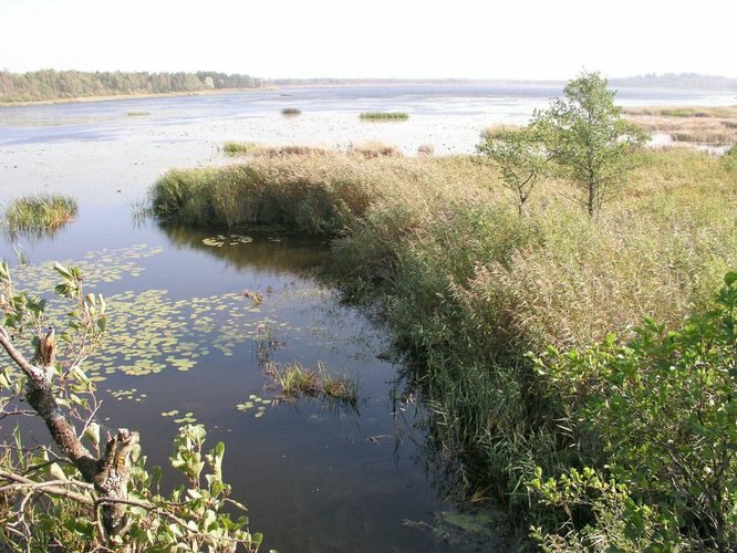 Maakond: Jõgevamaa Veekogu nimi: Elistvere järv Pildistamise aeg: 23. september 2003 Pildistaja: H. Timm Pildistamise koht: teadmata Asimuut: