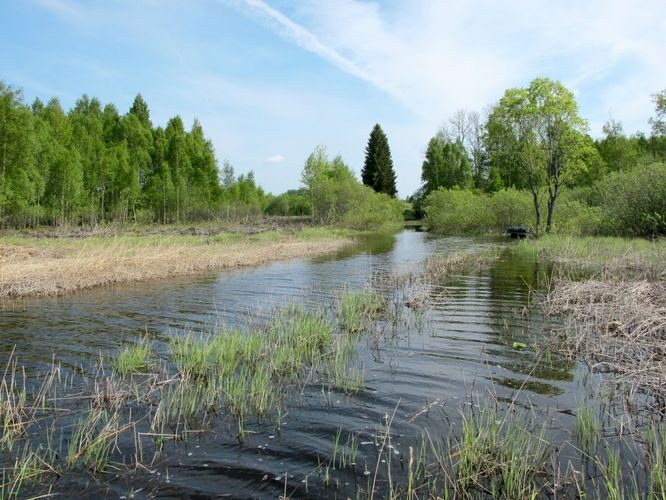 Maakond: Jõgevamaa Veekogu nimi: Elistvere järv Pildistamise aeg: 20. mai 2011 Pildistaja: H. Timm Pildistamise koht: teadmata Asimuut: