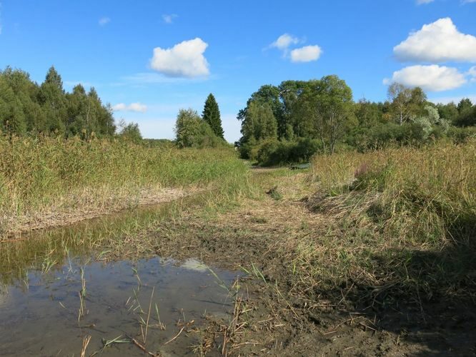 Maakond: Jõgevamaa Veekogu nimi: Elistvere järv Pildistamise aeg: 4. september 2013 Pildistaja: H. Timm Pildistamise koht: teadmata Asimuut: