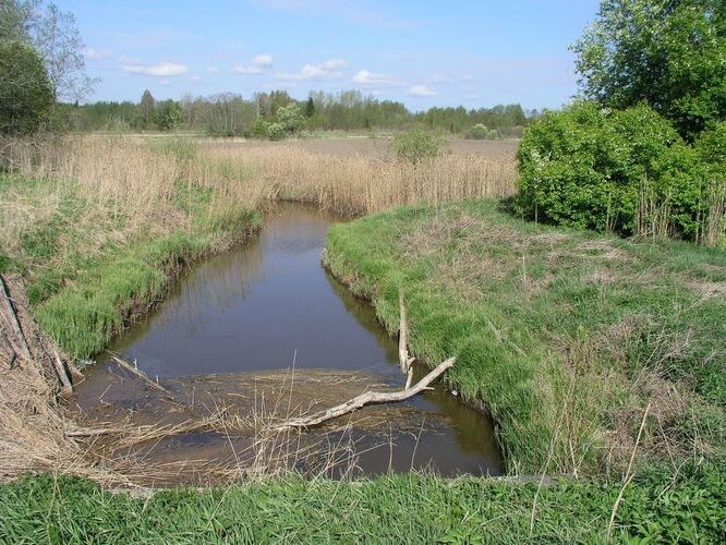 Maakond: Raplamaa Veekogu nimi: Ellamaa oja Pildistamise aeg: 16. mai 2009 Pildistaja: H. Timm Pildistamise koht: teadmata Asimuut: