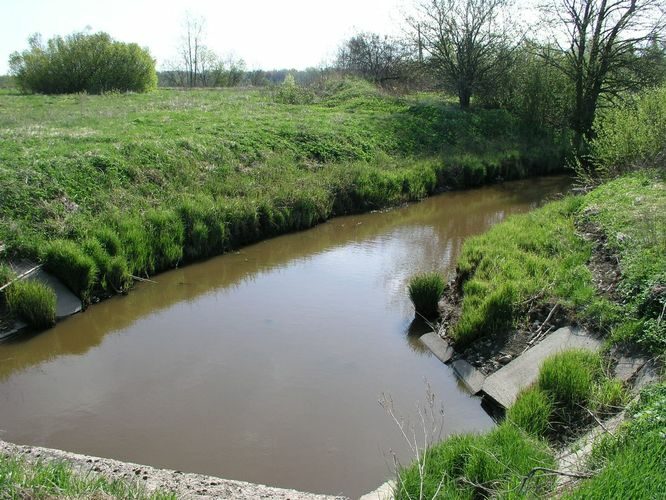 Maakond: Raplamaa Veekogu nimi: Ellamaa oja Pildistamise aeg: 16. mai 2009 Pildistaja: H. Timm Pildistamise koht: teadmata Asimuut: