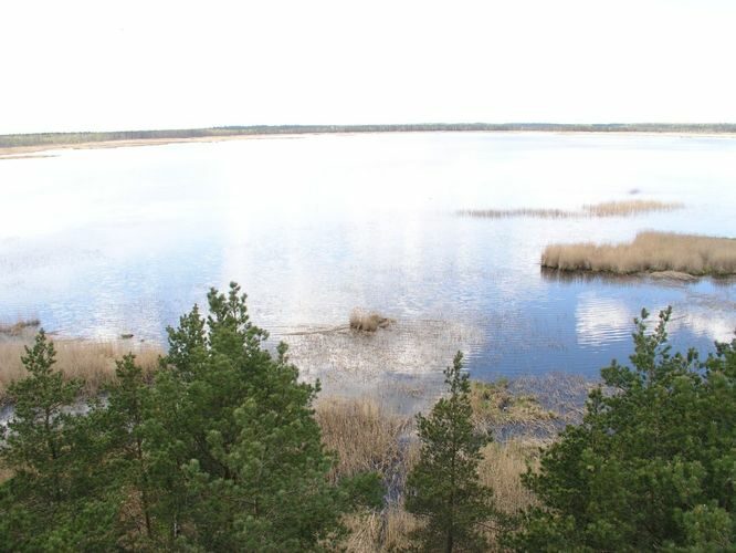 Maakond: Jõgevamaa Veekogu nimi: Endla järv Pildistamise aeg: 20. mai 2005 Pildistaja: H. Timm Pildistamise koht: tornist itta Asimuut: