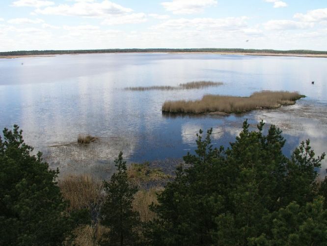 Maakond: Jõgevamaa Veekogu nimi: Endla järv Pildistamise aeg: 20. mai 2005 Pildistaja: H. Timm Pildistamise koht: tornist itta Asimuut: