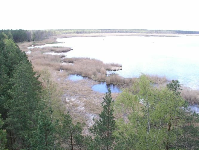 Maakond: Jõgevamaa Veekogu nimi: Endla järv Pildistamise aeg: 20. mai 2005 Pildistaja: H. Timm Pildistamise koht: tornist lõunasse Asimuut: