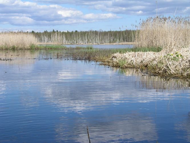 Maakond: Jõgevamaa Veekogu nimi: Endla järv Pildistamise aeg: 20. mai 2005 Pildistaja: H. Timm Pildistamise koht: Heinassaarest põhjapoolne läbipääs, vaade itta Asimuut: