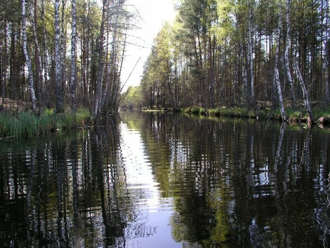 Maakond: Jõgevamaa Veekogu nimi: Endla järv Pildistamise aeg: 20. mai 2005 Pildistaja: H. Timm Pildistamise koht: Räägu kanali algus Asimuut: