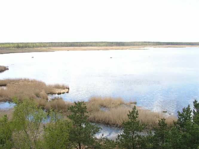 Maakond: Jõgevamaa Veekogu nimi: Endla järv Pildistamise aeg: 20. mai 2005 Pildistaja: H. Timm Pildistamise koht: tornist edelasse Asimuut: