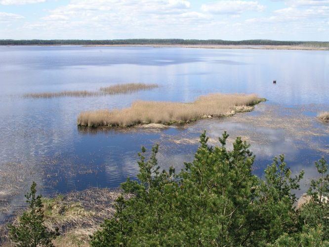 Maakond: Jõgevamaa Veekogu nimi: Endla järv Pildistamise aeg: 20. mai 2005 Pildistaja: H. Timm Pildistamise koht: tornist itta Asimuut: