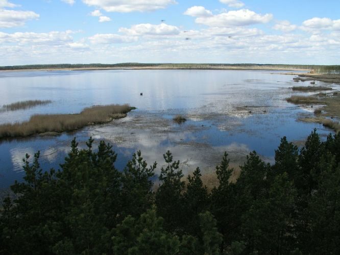 Maakond: Jõgevamaa Veekogu nimi: Endla järv Pildistamise aeg: 20. mai 2005 Pildistaja: H. Timm Pildistamise koht: tornist loodesse Asimuut: