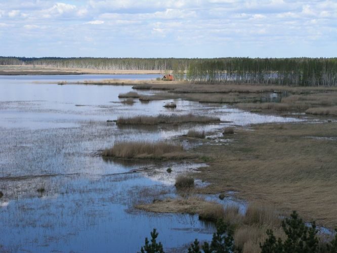 Maakond: Jõgevamaa Veekogu nimi: Endla järv Pildistamise aeg: 20. mai 2005 Pildistaja: H. Timm Pildistamise koht: põhja Asimuut: