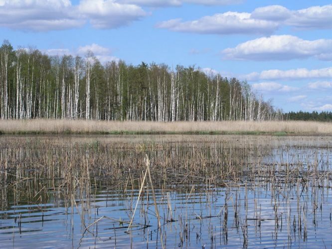 Maakond: Jõgevamaa Veekogu nimi: Endla järv Pildistamise aeg: 20. mai 2005 Pildistaja: H. Timm Pildistamise koht: Männiksaar edelast Asimuut: