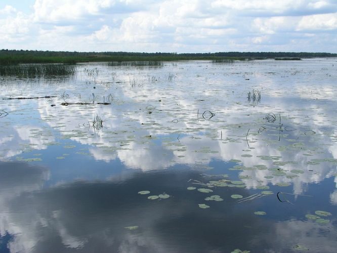 Maakond: Jõgevamaa Veekogu nimi: Endla Pildistamise aeg: 16. august 2006 Pildistaja: H. Timm Pildistamise koht: teadmata Asimuut: