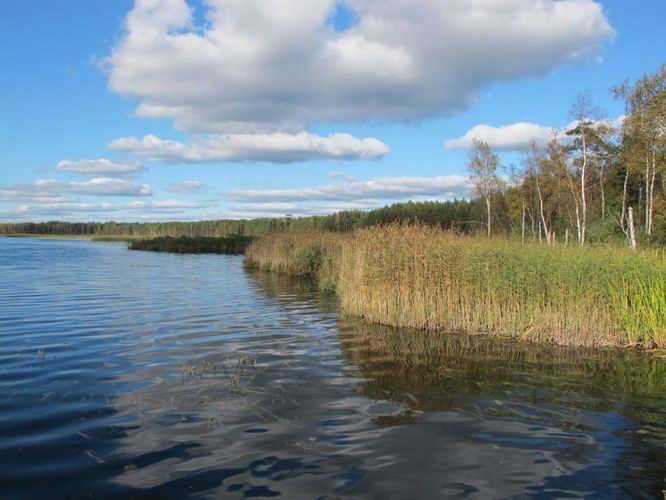 Maakond: Jõgevamaa Veekogu nimi: Endla järv Pildistamise aeg: 1. oktoober 2010 Pildistaja: H. Timm Pildistamise koht: teadmata Asimuut: