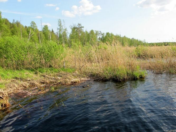 Maakond: Jõgevamaa Veekogu nimi: Endla järv Pildistamise aeg: 20. mai 2011 Pildistaja: H. Timm Pildistamise koht: teadmata Asimuut: