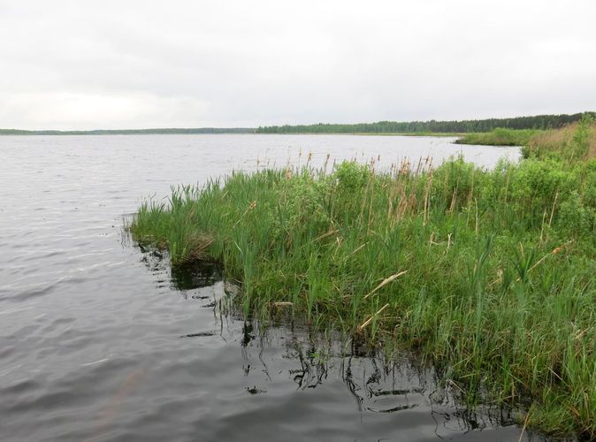 Maakond: Jõgevamaa Veekogu nimi: Endla järv Pildistamise aeg: 22. mai 2013 Pildistaja: H. Timm Pildistamise koht: teadmata Asimuut: