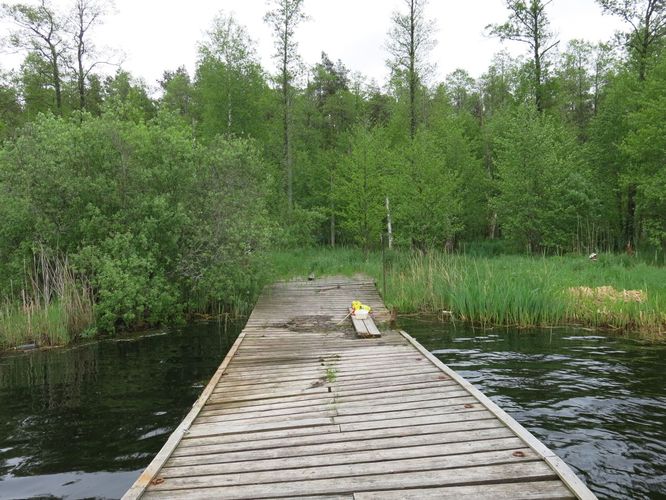 Maakond: Jõgevamaa Veekogu nimi: Endla järv Pildistamise aeg: 22. mai 2013 Pildistaja: H. Timm Pildistamise koht: teadmata Asimuut: