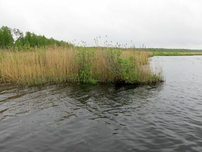 Maakond: Jõgevamaa Veekogu nimi: Endla järv Pildistamise aeg: 22. mai 2013 Pildistaja: H. Timm Pildistamise koht: teadmata Asimuut: