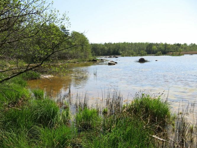 Maakond: Saaremaa Veekogu nimi: Endu laht Pildistamise aeg: 23. mai 2014 Pildistaja: H. Timm Pildistamise koht: teadmata Asimuut: