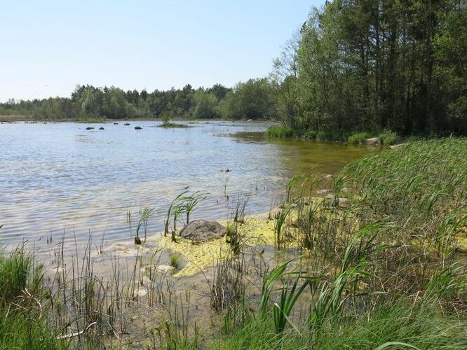 Maakond: Saaremaa Veekogu nimi: Endu laht Pildistamise aeg: 23. mai 2014 Pildistaja: H. Timm Pildistamise koht: teadmata Asimuut: