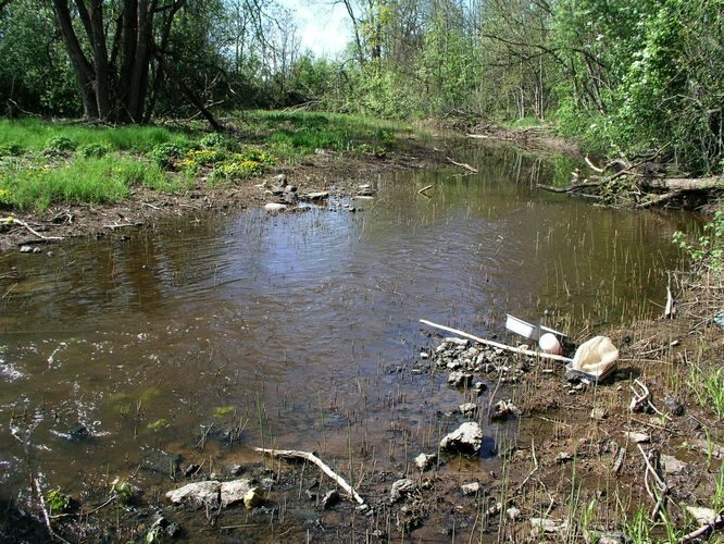 Maakond: Raplamaa Veekogu nimi: Enge jõgi Pildistamise aeg: 17. mai 2009 Pildistaja: H. Timm Pildistamise koht: Jädivere Asimuut: