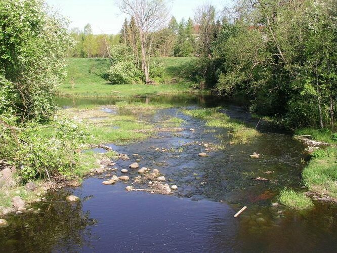 Maakond: Raplamaa Veekogu nimi: Enge jõgi Pildistamise aeg: 17. mai 2009 Pildistaja: H. Timm Pildistamise koht: Kivi-Vigala paisu all Asimuut: