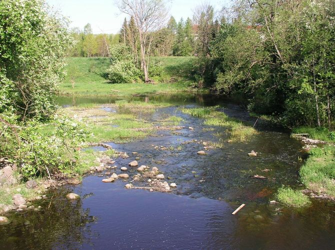 Maakond: Raplamaa Veekogu nimi: Enge jõgi Pildistamise aeg: 17. mai 2009 Pildistaja: H. Timm Pildistamise koht: Kivi-Vigala paisu all Asimuut: