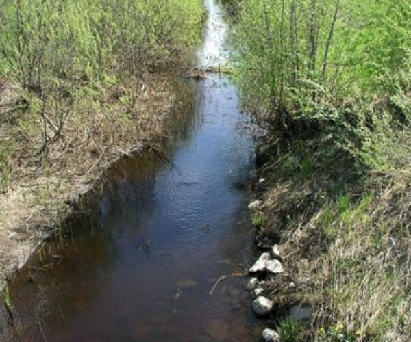 Maakond: Raplamaa Veekogu nimi: Enge jõgi Pildistamise aeg: 17. mai 2009 Pildistaja: H. Timm Pildistamise koht: Enge sillalt Asimuut: