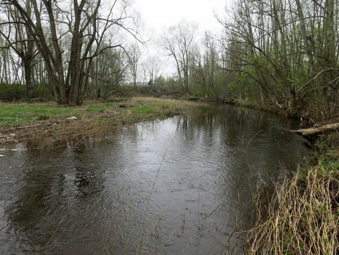 Maakond: Raplamaa Veekogu nimi: Enge jõgi Pildistamise aeg: 12. mai 2013 Pildistaja: H. Timm Pildistamise koht: Pärnu - Tallinna mnt. Asimuut: