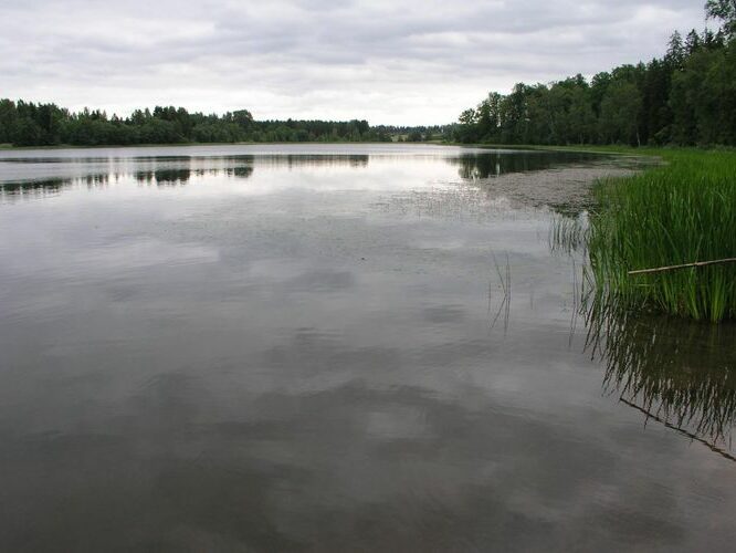 Maakond: Põlvamaa Veekogu nimi: Erastvere järv Pildistamise aeg: 28. juuni 2007 Pildistaja: H. Timm Pildistamise koht: teadmata Asimuut: