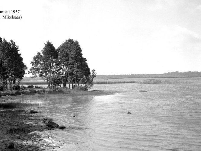 Maakond: Pärnumaa Veekogu nimi: Ermistu järv Pildistamise aeg: 1957 Pildistaja: N. Mikelsaar Pildistamise koht: teadmata Asimuut: