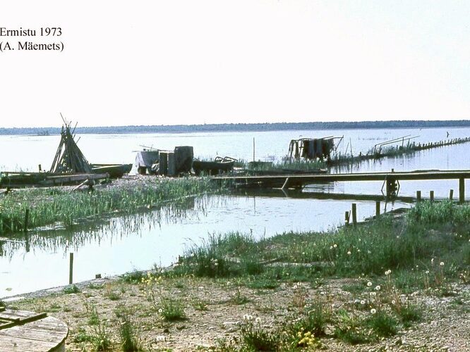 Maakond: Pärnumaa Veekogu nimi: Ermistu järv Pildistamise aeg: 1973 Pildistaja: A. Mäemets Pildistamise koht: teadmata Asimuut: