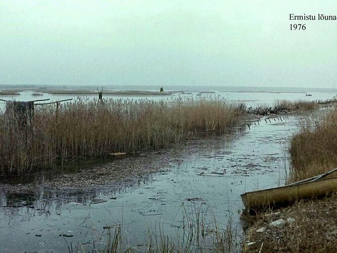 Maakond: Pärnumaa Veekogu nimi: Ermistu järv Pildistamise aeg: 1976 Pildistaja: N. Mikelsaar Pildistamise koht: S-osa Asimuut: