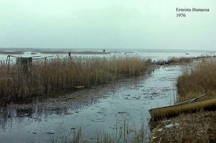 Maakond: Pärnumaa Veekogu nimi: Ermistu järv Pildistamise aeg: 1976 Pildistaja: N. Mikelsaar Pildistamise koht: S-osa Asimuut: