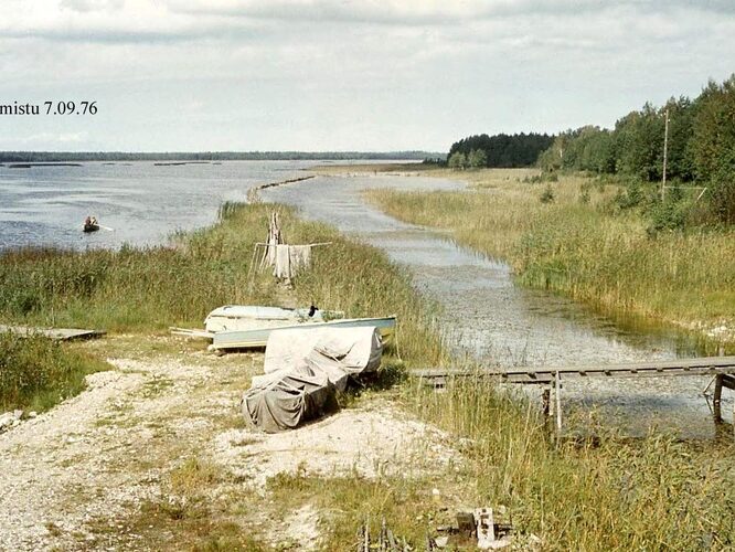 Maakond: Pärnumaa Veekogu nimi: Ermistu järv Pildistamise aeg: 7. september 1976 Pildistaja: N. Mikelsaar Pildistamise koht: teadmata Asimuut: