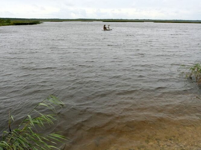 Maakond: Pärnumaa Veekogu nimi: Ermistu järv Pildistamise aeg: 31. juuli 2007 Pildistaja: H. Timm Pildistamise koht: teadmata Asimuut: