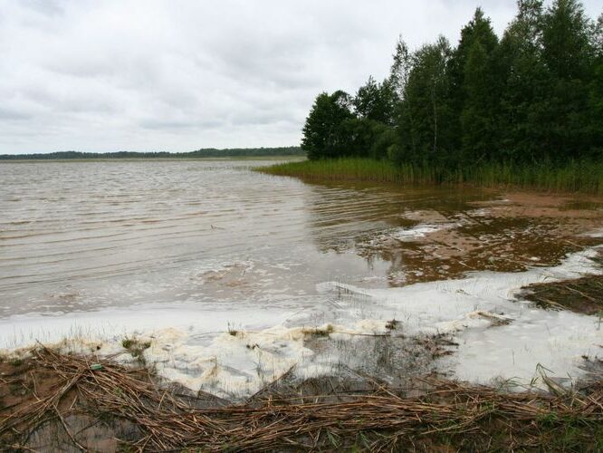 Maakond: Pärnumaa Veekogu nimi: Ermistu järv Pildistamise aeg: 31. juuli 2007 Pildistaja: H. Timm Pildistamise koht: teadmata Asimuut:Maakond: Pärnumaa Veekogu nimi: Ermistu järv Pildistamise aeg: 31. juuli 2007 Pildistaja: H. Timm Pildistamise koht: teadmata Asimuut: