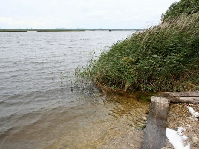 Maakond: Pärnumaa Veekogu nimi: Ermistu järv Pildistamise aeg: 31. juuli 2007 Pildistaja: H. Timm Pildistamise koht: teadmata Asimuut: