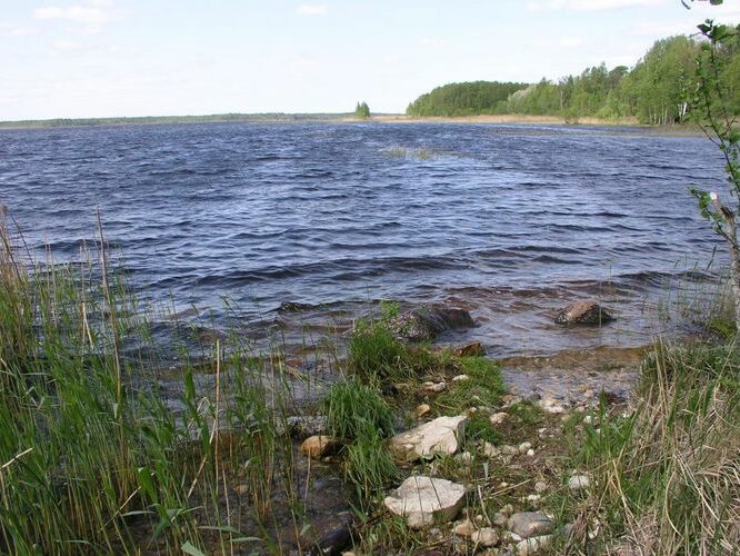 Maakond: Pärnumaa Veekogu nimi: Ermistu järv Pildistamise aeg: 13. mai 2008 Pildistaja: H. Timm Pildistamise koht: teadmata Asimuut: