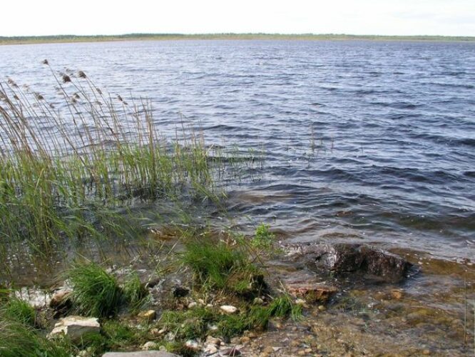 Maakond: Pärnumaa Veekogu nimi: Ermistu järv Pildistamise aeg: 13. mai 2008 Pildistaja: H. Timm Pildistamise koht: teadmata Asimuut: