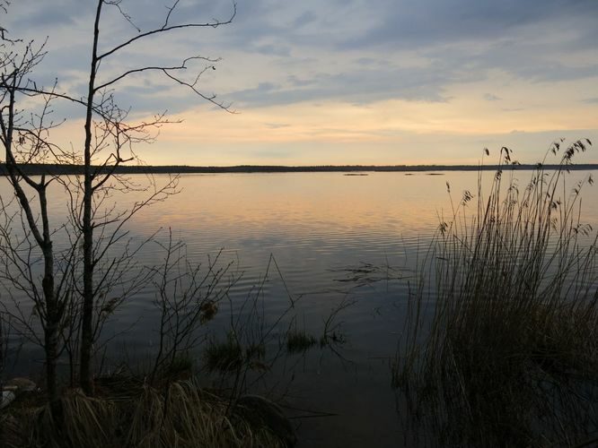 Maakond: Pärnumaa Veekogu nimi: Ermistu järv Pildistamise aeg: 9. mai 2013 Pildistaja: H. Timm Pildistamise koht: teadmata Asimuut: