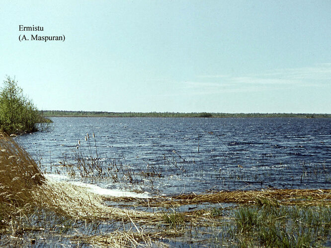 Maakond: Pärnumaa Veekogu nimi: Ermistu järv Pildistamise aeg: teadmata Pildistaja: A. Maspuran Pildistamise koht: teadmata Asimuut: