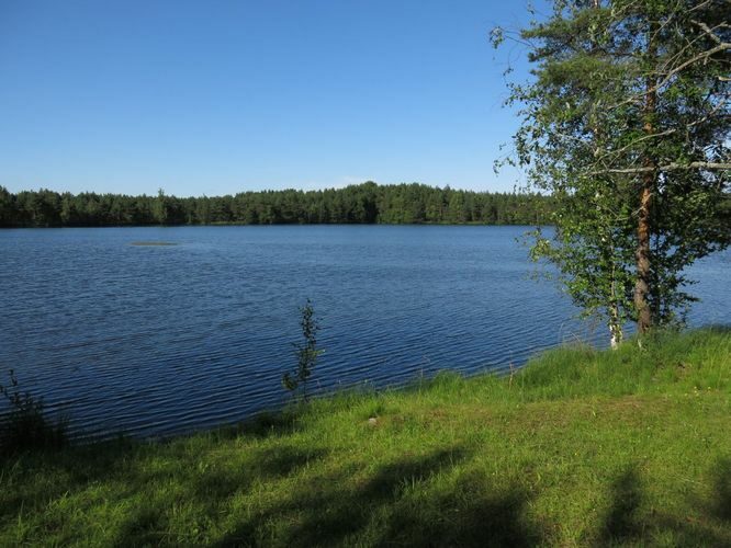 Maakond: Järvamaa Veekogu nimi: Ervita Umbjärv Pildistamise aeg: 7. juuli 2013 Pildistaja: H. Timm Pildistamise koht: teadmata Asimuut: