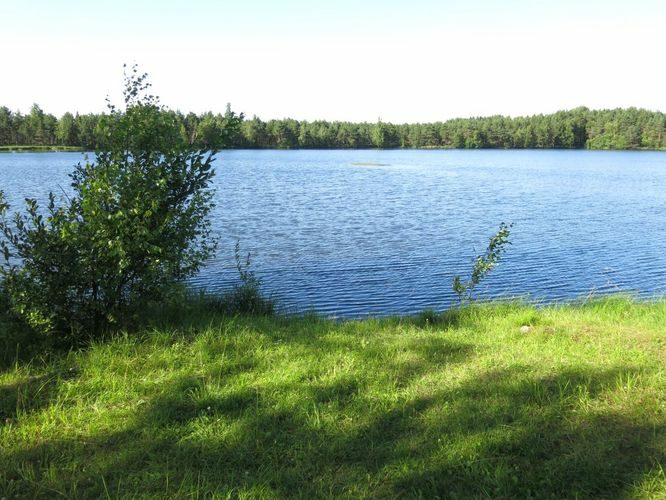 Maakond: Järvamaa Veekogu nimi: Ervita Umbjärv Pildistamise aeg: 7. juuli 2013 Pildistaja: H. Timm Pildistamise koht: teadmata Asimuut: