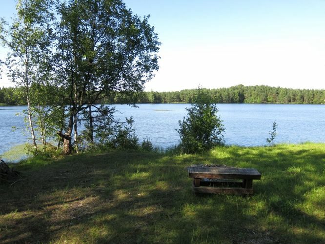 Maakond: Järvamaa Veekogu nimi: Ervita Umbjärv Pildistamise aeg: 7. juuli 2013 Pildistaja: H. Timm Pildistamise koht: teadmata Asimuut: